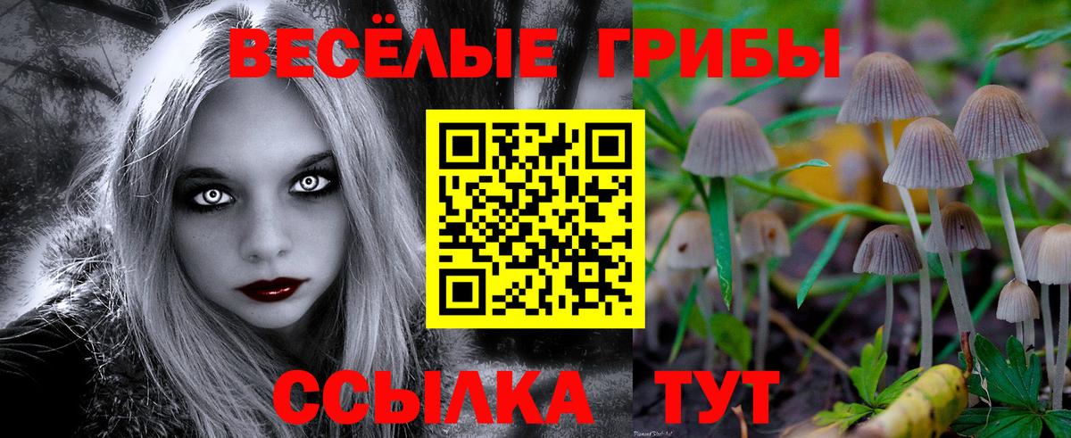 Псилоцибиновые грибы Psilocybe  купить закладку  Королёв  Псилоцибиновые грибы Psilocybine cubensis  Вход с VPN 